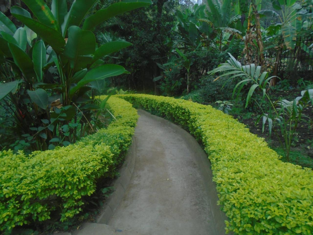 Themi Valley Eco And Cultural Tourism Homestay Arusha Exterior photo