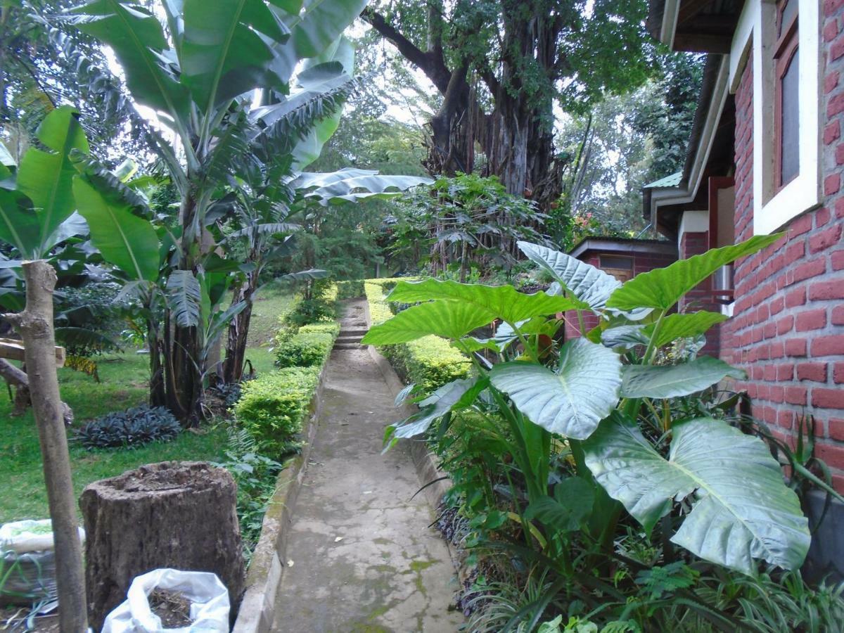 Themi Valley Eco And Cultural Tourism Homestay Arusha Exterior photo